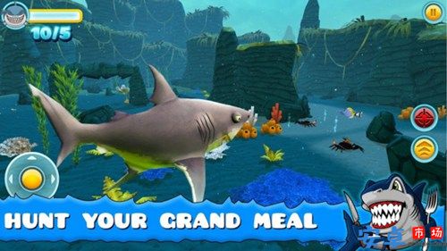 大鲨鱼进食游戏最新下载