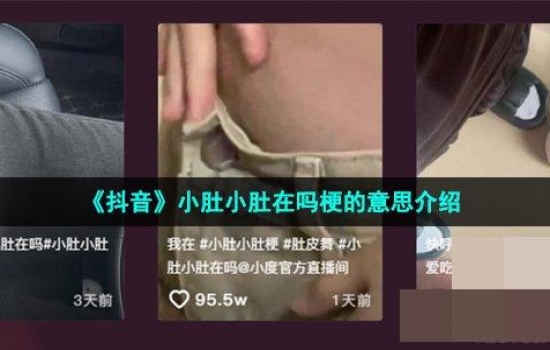 抖音小肚小肚在吗是什么梗？小肚小肚在吗梗的详解