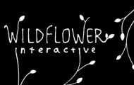 神海4美末总监宣布成立新工作室Wildflower